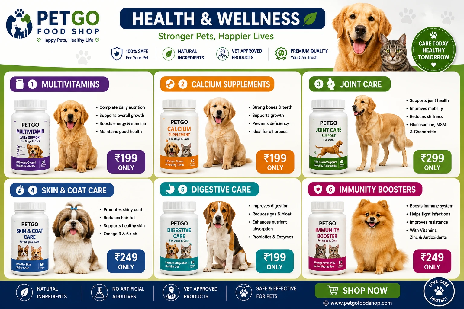 💊 Health & Wellness